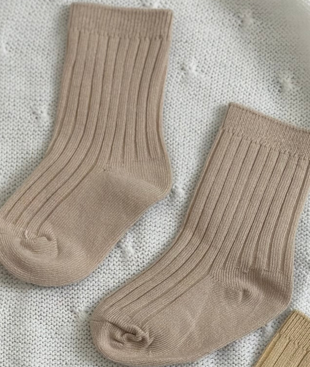 Fancy Sock Boy